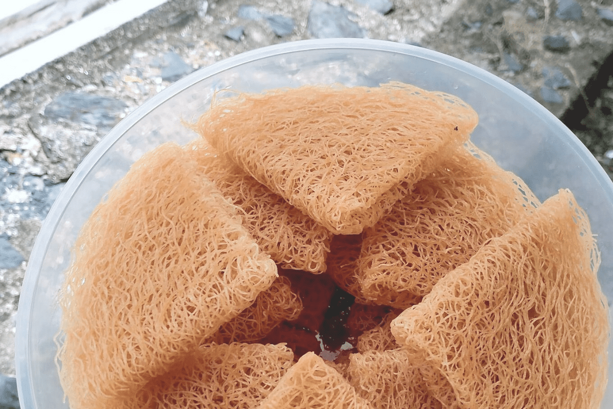 Kuih karas rangup berbentuk kepingan halus berwarna keemasan